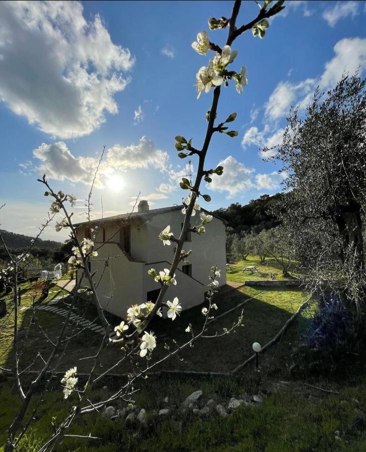 Agriturismo Il Sorbo Appartamento Menta Sticciano Exterior foto